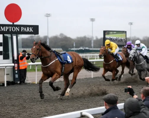 Необычный финиш в Kempton: история забега, где победила лошадь без всадника